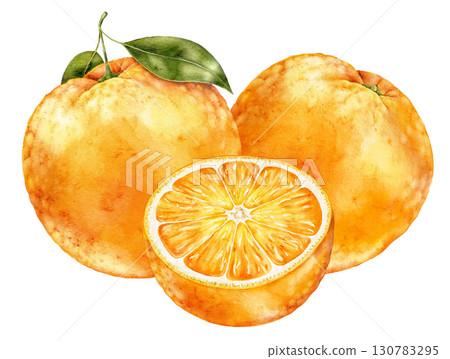Watercolor illustration of whole orange fruit with half slice and green leaves on white background. Fresh and colorful citrus element ideal for packaging, textiles and creative prints. Watercolor illustration of whole orange fruit with half slice and green leaves on white background. Fresh and colorful citrus element ideal for packaging, textiles and creative prints. 130783295
