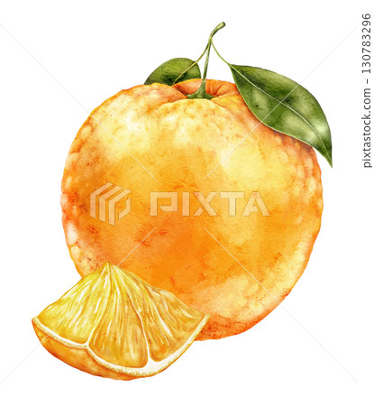 Watercolor illustration of whole orange fruit with half slice and green leaves on white background. Fresh and colorful citrus element ideal for packaging, textiles and creative prints. Watercolor illustration of whole orange fruit with half slice and green leaves on white background. Fresh and colorful citrus element ideal for packaging, textiles and creative prints. 130783296