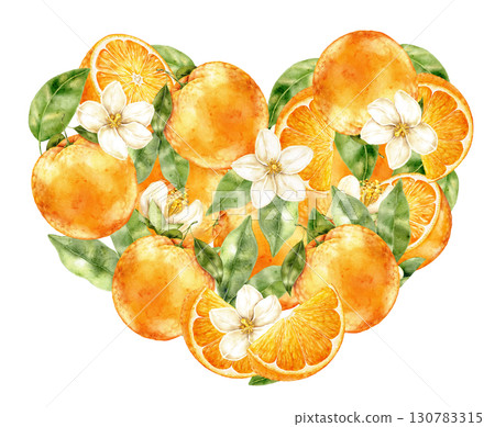 Watercolor heart made of oranges, slices, leaves and blossoms on white background. Fresh fruity design with juicy citrus style, ideal for juice bar posters, cocktail menus, summer fruit stickers Watercolor heart made of oranges, slices, leaves and blossoms on white background. Fresh fruity design with juicy citrus style, ideal for juice bar posters, cocktail menus, summer fruit stickers 130783315