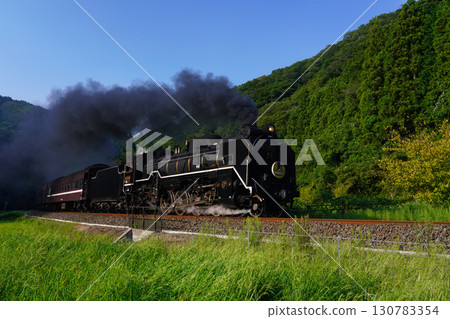 SL 山口 D51 1431- SL 山口 D51 1431- 130783354