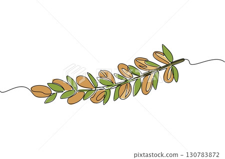 Continuous one line drawing Argania seeds lined up on branches with leaves. Plant preparations that can moisturize the skin. International Day of Argania. Single line draw design vector illustration 130783872