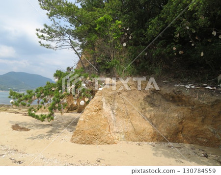 Angel Road (Angel Road) Angel Road (Angel Road) 130784559