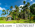 A monument with traditional murals near the historic Airai Bai, a Palauan men's meeting house, set against a grove of tall palm trees in Airai, Palau 130785307