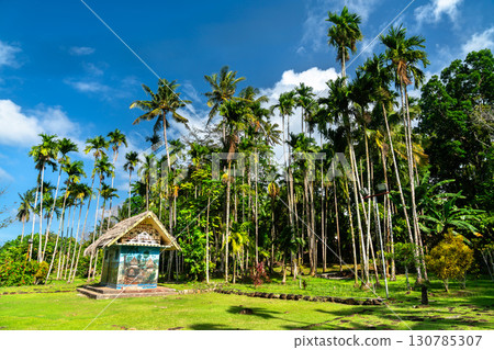 A monument with traditional murals near the historic Airai Bai, a Palauan men's meeting house, set against a grove of tall palm trees in Airai, Palau 130785307