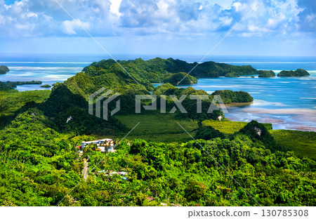 Stunning high angle view of the lush landscape of Airai, the main island of Palau, and the surrounding Pacific Ocean on a beautiful sunny day. Micronesia, Oceania 130785308