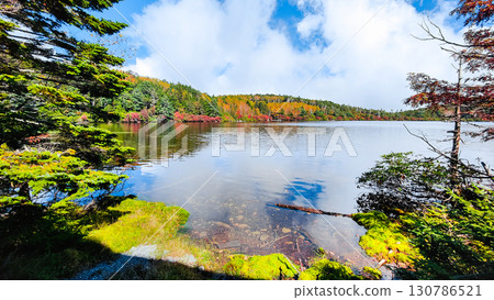 秋天的白駒池 130786521