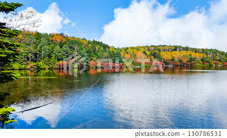 秋天的白駒池 130786531