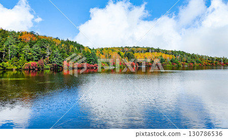 Shirakoma pond in autumn 130786536
