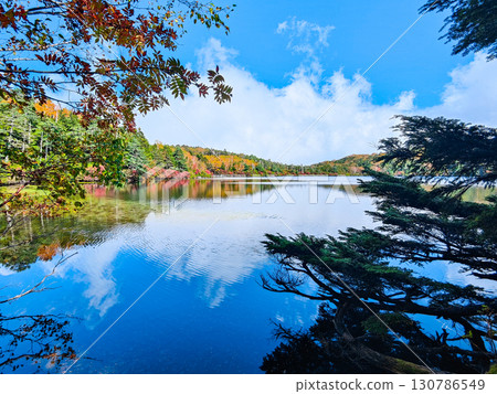 Shirakoma pond in autumn 130786549