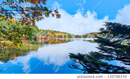 Shirakoma pond in autumn Shirakoma pond in autumn 130786550