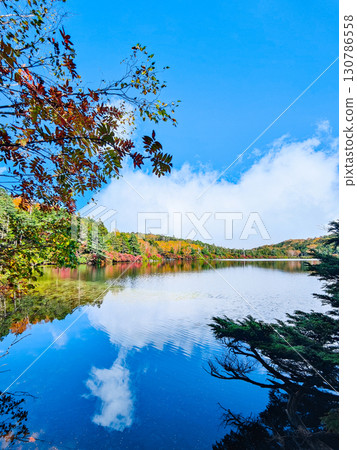 秋天的白駒池 130786558