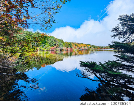 秋天的白駒池 130786564