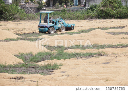 Soil improvement with rice husks Soil improvement with rice husks 130786763