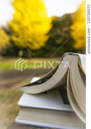一張在秋天公園看書的照片，銀杏葉泛黃 130786831