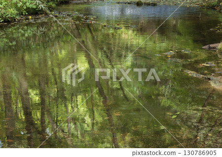 樹反映在水面上 樹反映在水面上 130786905