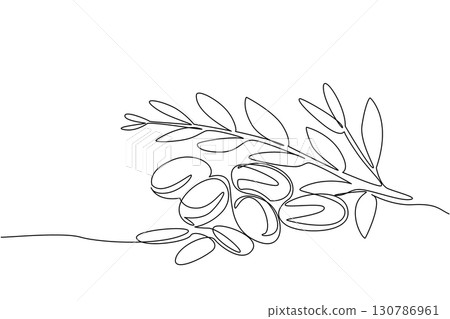 Single continuous line drawing Argania seeds with leaves. Seeds that can be processed for beauty and health. Therapy and treatment. International Day of Argania. One line design vector illustration 130786961
