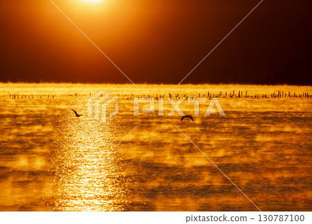 冬季瀨戶內日出與暴風雨般的頭髮的太陽路 冬季瀨戶內日出與暴風雨般的頭髮的太陽路 130787100