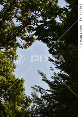 樹枝環繞的天空呈現出各種形狀。 樹枝環繞的天空呈現出各種形狀。 130787161