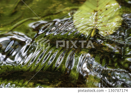 Green reflected on the surface of the water 130787174