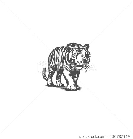 A black and white line drawing of a tiger walking through tall grass 130787349