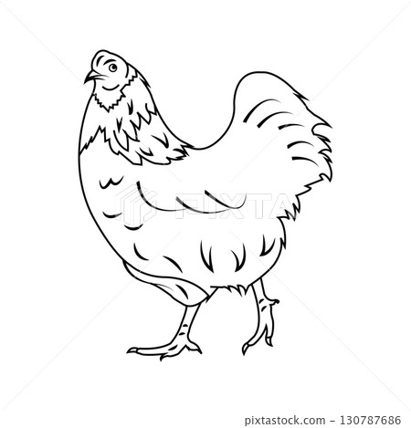 mother hen vector design 130787686