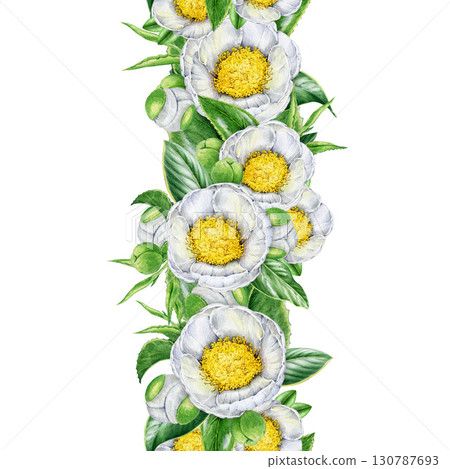 White camellia flowers with leaves seamless border decor element. Hand drawn vintage style botanical watercolor illustration. Tender white camellia blossoms seamless border on white background 130787693