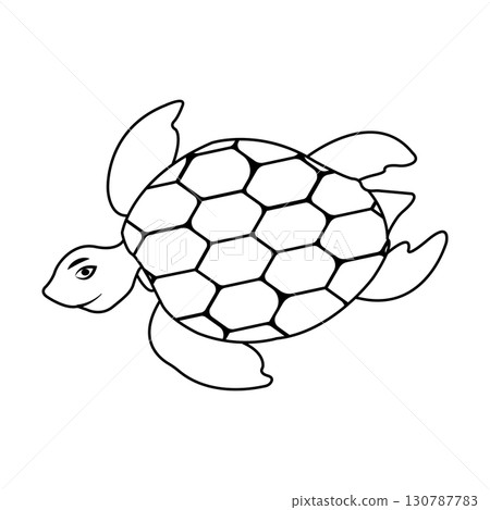 turtle illustration icon turtle illustration icon 130787783