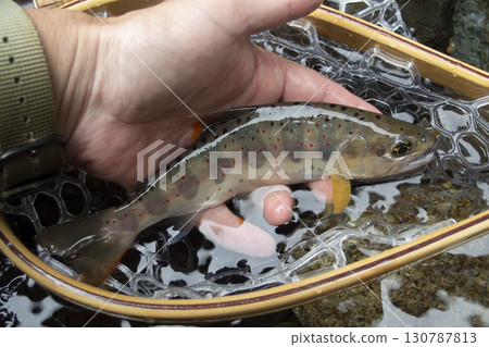 被困在山澗中的天子 130787813