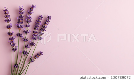 Fresh Lavender Stems on a Soft Pink Background for Relaxation and Aesthetic Decor 130789072
