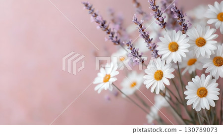 Delicate Arrangement of White Daisies and Lavender on Soft Pink Background for Decor 130789073