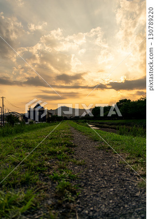 A walking path dyed in the sunset A walking path dyed in the sunset 130789220