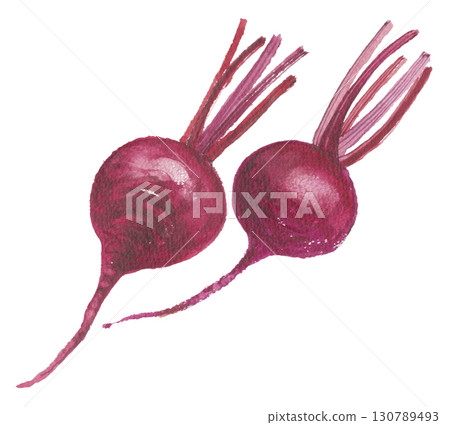 Watercolor beets 130789493