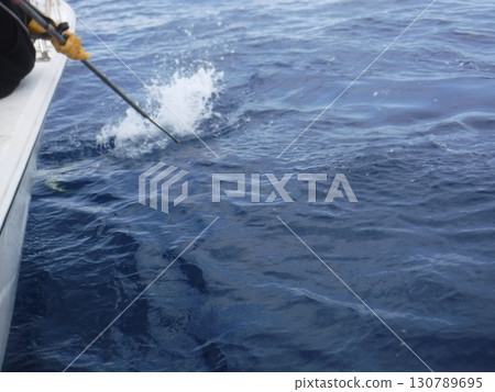 在海上捕獲的鮪魚，被捲起的那一刻 130789695