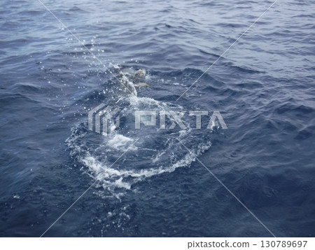 A tuna caught offshore and the moment it was reeled in A tuna caught offshore and the moment it was reeled in 130789697
