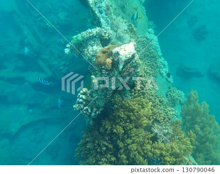 印尼峇裡島阿湄沉船 印尼峇裡島阿湄沉船 130790046