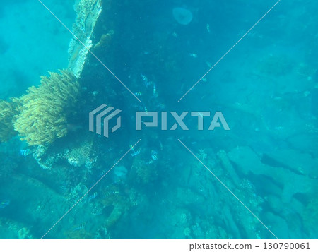印尼峇裡島阿湄沉船 印尼峇裡島阿湄沉船 130790061