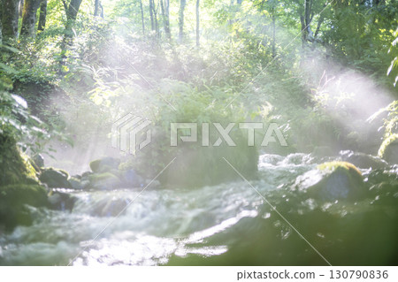 A scene of light shining on a clear stream in the forest - Oyamakiyazawa mountain stream A scene of light shining on a clear stream in the forest - Oyamakiyazawa mountain stream 130790836
