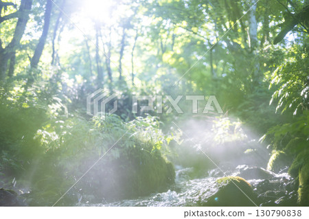 A scene of light shining on a clear stream in the forest - Oyamakiyazawa mountain stream 130790838