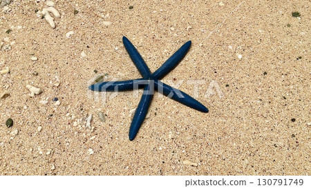 沙灘上的藍色海星 130791749