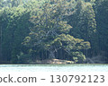 Ipponsugi of Iwao Pond 130792123