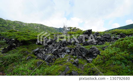 北八岳庭院 北八岳庭院 130792680