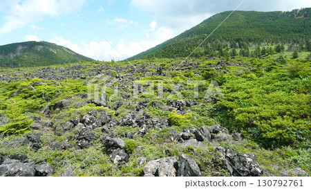 北八岳庭院 北八岳庭院 130792761