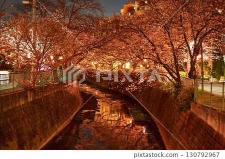 Cherry blossoms at night in Aso River, Kanagawa Prefecture 130792967