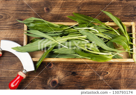 A bunch of wild leeks. A bunch of wild leeks. 130793174