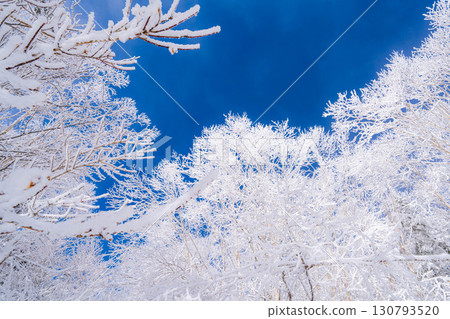 [Material of hoarfrost] A world of white and blue, hoarfrost and blue sky [Nagano Prefecture] 130793520