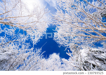 [白霜的材質]白與藍、白霜與藍天的世界[長野縣] 130793525