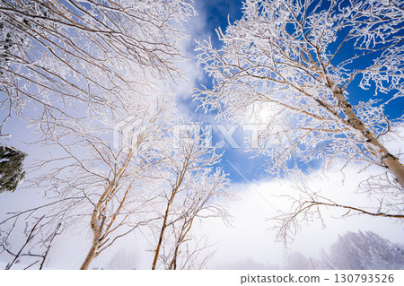 [白霜的材質]白與藍、白霜與藍天的世界[長野縣] 130793526