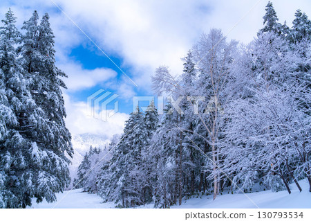 [白霜的材質]白與藍、白霜與藍天的世界[長野縣] 130793534