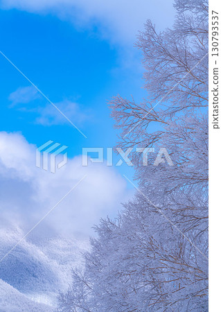 [白霜的材質]白與藍、白霜與藍天的世界[長野縣] 130793537