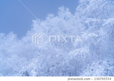 [白霜的材質]乘鞍高原白霜[長野縣] 130793554